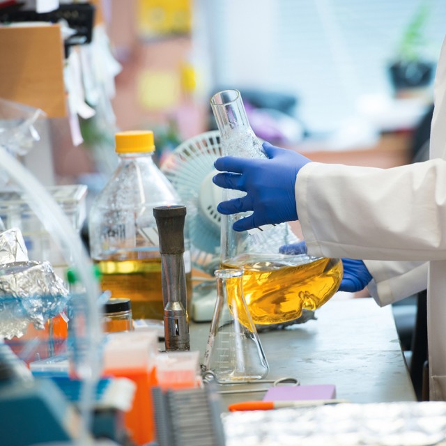 a graduate student works in the lab