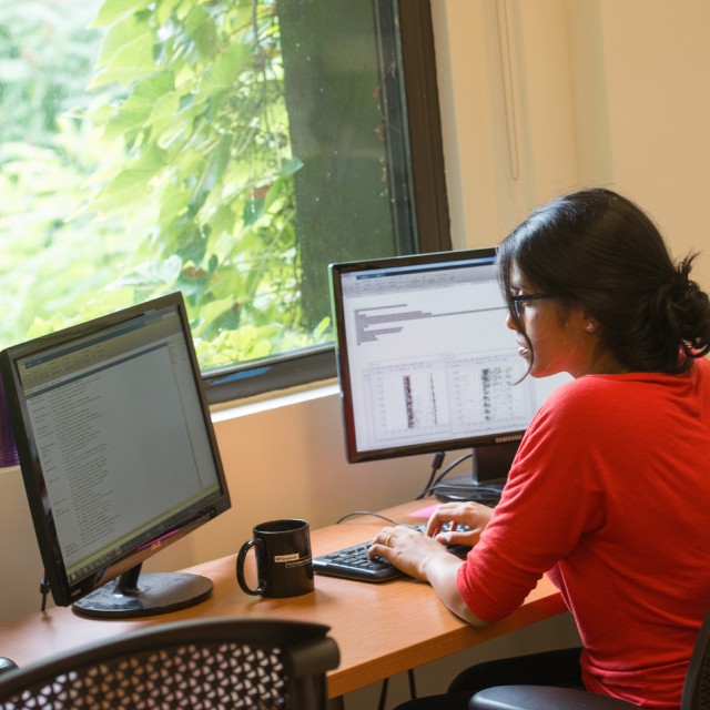 a graduate student sits in front of two monitors and a sunny window