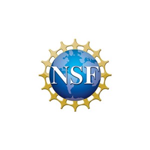 NSF logo