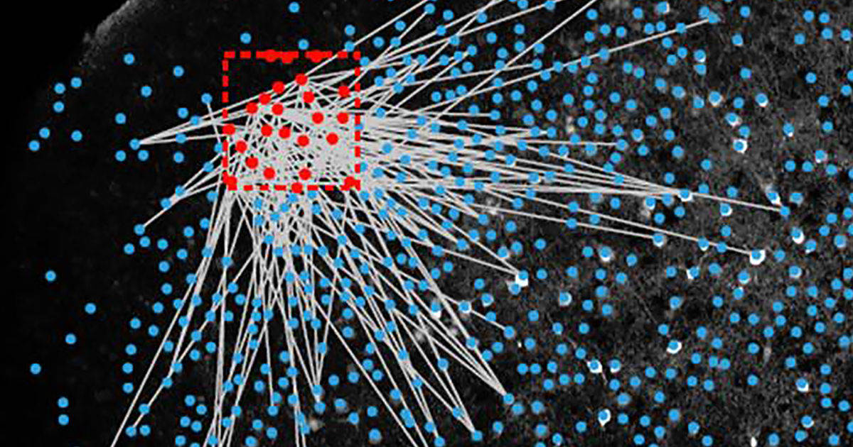 computational neuroscience phd europe